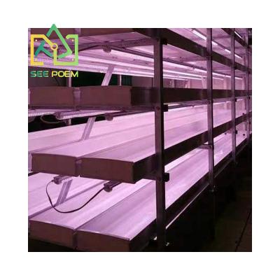 China Vertical Growing Microgreens Irrigation&Hydroponics Equipment For Growing Microgreens And Barley Forage System for sale