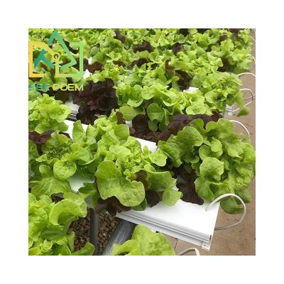 China Farms Complete Set NFT Hydroponic Growing Rack System for sale