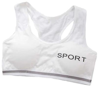 China Breathable sports invest girls development period high school students thin sports bra large size underwear for sale