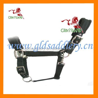 China Colorful Western Saddle Horse Halter Ridding Halters For Horse for sale