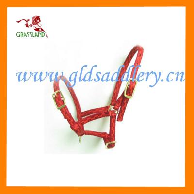 China Western saddle products export equestrian riding halter for sale