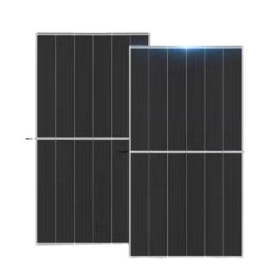 China 665W Trina Solar Panels TSM-DEG21C.20 Bifacial Solar Panel With Dual Glass 20.8-21.4 for sale