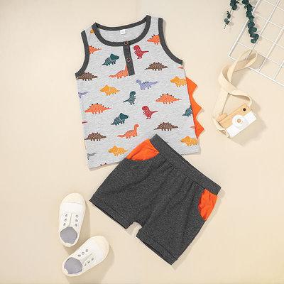 China 2021 New Arrival Boys Dinosaur Two Piece Casual Clothing Children's Vest Top Set And Shorts Boys Clothing for sale