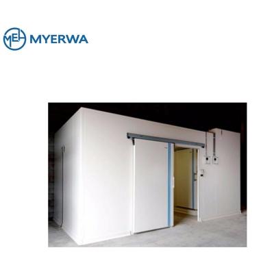 China Double-temperature refrigeration customized door/walk-in cold room door/industrial refrigerator door for sale