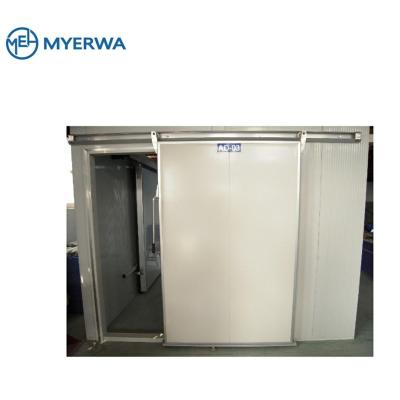 China Hotels OEM cold room door, cold storage room sliding door for sale for sale