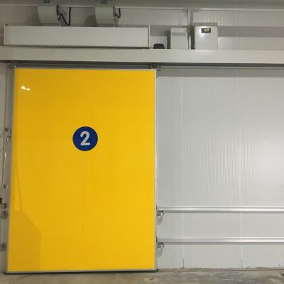 China Industrial Automatic Electric Sliding Door, Walk In Freezer Room Door for sale