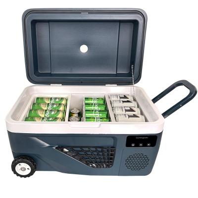 China Hot Selling Morden Car Fridge 35L Compressor Mini Car Freezer Fridges Portable Fridge For Camping for sale