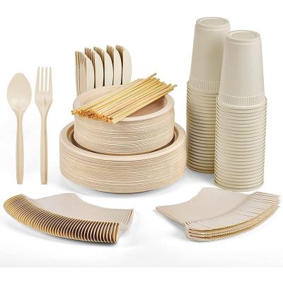 China Eco-Friendly Disposable Bagasse Pulp Dish Bowl Disposable Cups Tray Tableware Set for sale