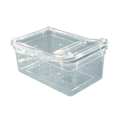 China Small Mini Plastic Breathable Reptile Box Feeding Greenhouse, Reptile Travel Habitat Box For Gecko Frog Spider Snake Baby Lizard for sale