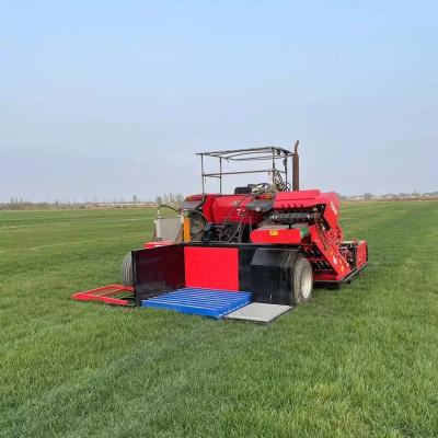 China Lawn Football Field Construction Lawn Farm Grass Harvester Lawn Reel Cutter Automatic Combine Harvester for sale