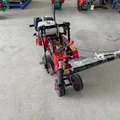 China Cheap Price 4-Stroke Lawn Mower Lawn Care Equipment Grass Cutter Machine for sale