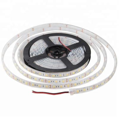 China Decorative Lighting Underwater Rope Lights Led Flexible Strip Lights PCB Led Strip Programmable Led Power Water Strip for sale