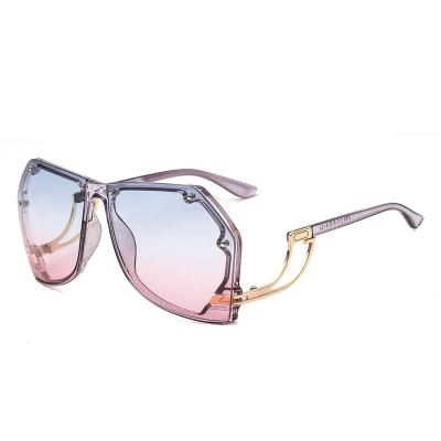 China Newest Fashion Little Cuttlefish Sunglasses Women Butterfly Sunglasses Luxury Quality Fashion Sunglasses for sale