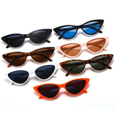 China Custom Vintage Cat Eye Sunglasses 2021 Fashion Small Cuttlefish Sunglasses Wholesale for sale