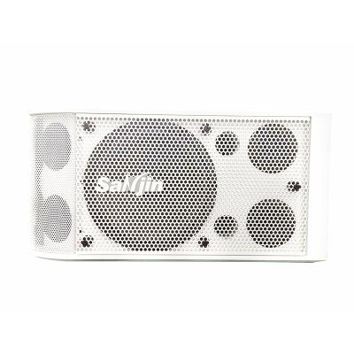 China No salt best sound homthatar dj speaker bass sound system for home dj cart speaker for sale