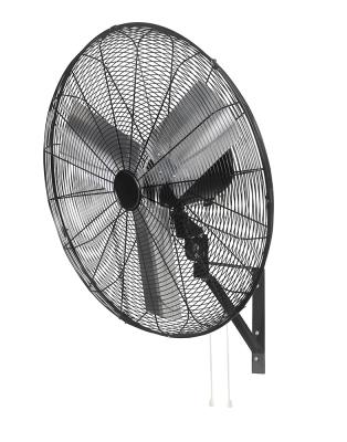 China Swing Fan 20