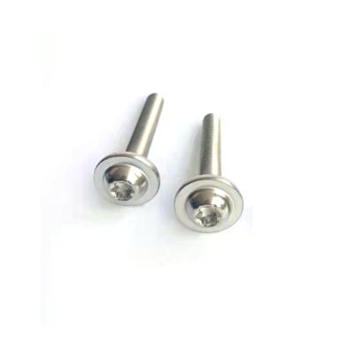 China 304 Pan Stainless Steel Torx Pan Head With Cushion Screw M3 Machine Screw China Factory Custom Screw for sale