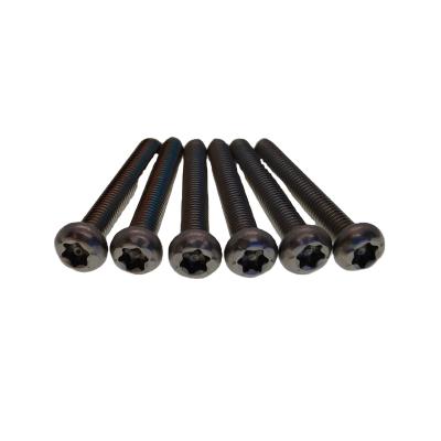 China Black Pan Head Torx Screw Pan Stainless Steel And Steel Security Screws for sale