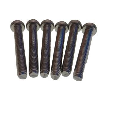 China Pan Stainless Steel\M2 Steel\M3\M4 Pan Head Screws Black Torx Suppliers China for sale