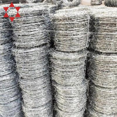 China Used As Fence For Lawn Barbed Wire Price Per Roll 50Kg/Roll High Tensile Galvanized Iron Barbed Wire Hebei for sale