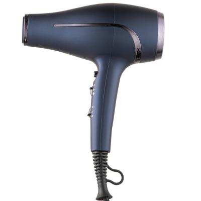 China Factory Supply 2400W 2800W BLDC Professional Ionic Motor Electric Blow Dryer High Quality Fast Drying Brushless Hair Dryer for sale