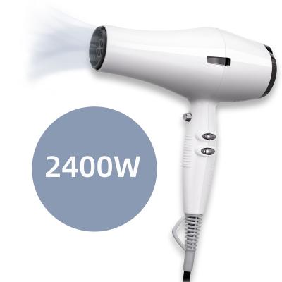 China Ionic Manufacturers Supply 2400W AC Motor Professional Fast Drying Electric Hair Dryer for sale