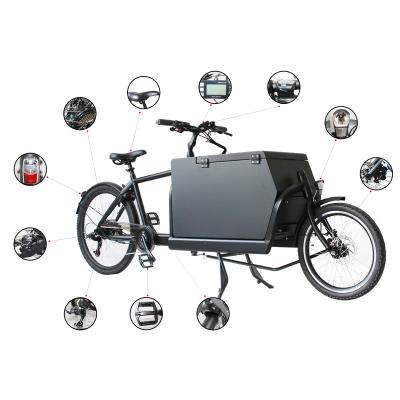 China Cargo 2 Wheel Bicycle Rear Motor Electric Cargo Bike For Family Use for sale