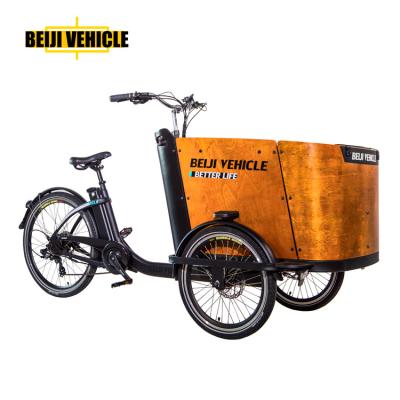 China Large Passenger Pedal Assisted Family Cargo Transport Electric Bike for sale