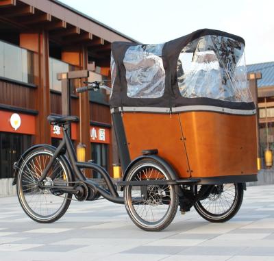 China Passenger lithium battery bafang motor mid ebike cargo bike adult electric bicycle for sale