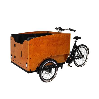 China Large Capacity Cargo Tricycle 5 Passenger Electric Kids Carrier Bike to Carry Kids Goods for sale