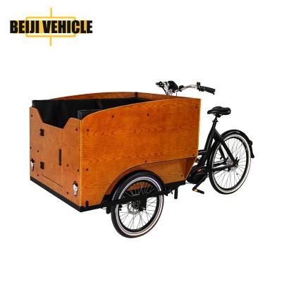 China Passenger 3 Wheel Electric Cargo Bicycle Mid Motor Electric Cargo Bicycle For Sale for sale