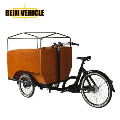 China Electric Passenger Cargo Bike Electric Tricycle Cargo Bike For Kids With Rain Cover for sale