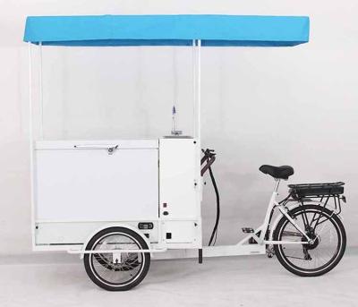 China Fashion Ice Cream Tricycle With Sink And Pump System 250w Motor Electric Ice Cream Truck for sale