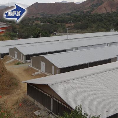 China Prefab Steel Fabricated House Steel Structure Shed Chicken House Design Low Cost Construction Poultry Farm For Sale for sale