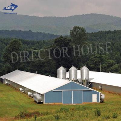 China Workshop Low Cost Steel Structure Frame Steel Chicken House For 10000 Chickens for sale