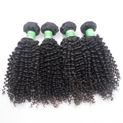 China Can be dyed with & #613; ironed & & Free Sample Online Shopping Bleached 3 Bundles Brazilian Kinky Curly Real Hair for sale