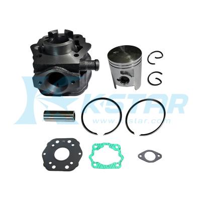 China Water Cooled Cylinder Kit For 50cc Senda Derbi Motorcycle Engine Assembly for sale