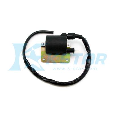 China Metal with Plastic Ignition Coil for the Vespa Citta Ciao Motorcycle for sale