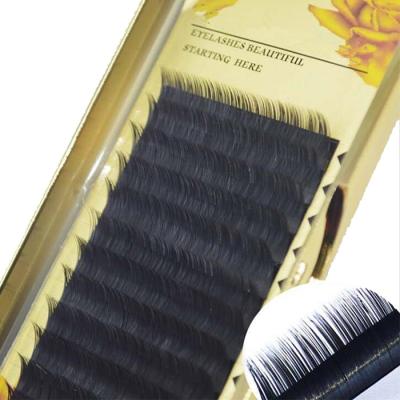 China News 2023 Feather Lashes Biodegradable Private Label Lashes Eco Friendly Environmentally Friendly Biodegradable Lashes Extensions for sale