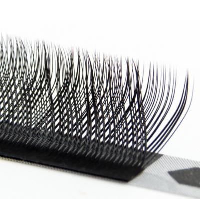 China Korean professional natural degradable eyelash wick extension trays Korean op feather OEM C/D curl classic lash extensions for sale