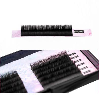 China Silk Lash OEM ODM Korea Premium Individual Natural Fiber LongWholesale Eyelash Extension Feather Black Volume Extension PBT for sale