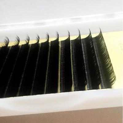 China Professional Hot Selling Eyelash Extension Feather Wick Beauty Eyelash Extensions Different Luxury Eyelash Supplies Professional Supplie for sale