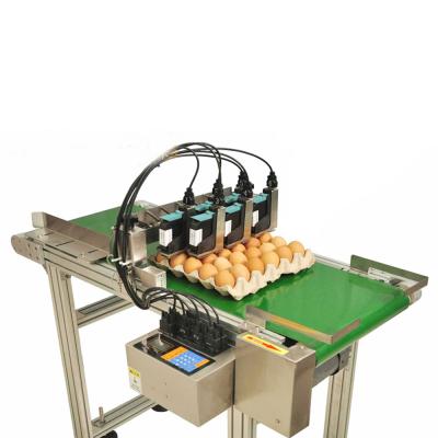 China Building material stores factory batch number industrial batch code egg inkjet printing machine for sale for sale