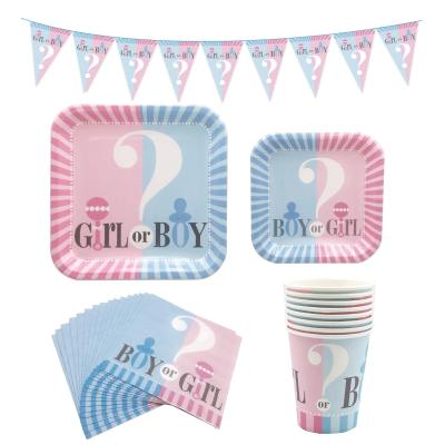 China Gender Reveal Decoration 50pcs Gender Reveal Party Supplies Set Boy or Girl Banner Paper Plate Paper Cup Paper Napkin Dining Table Set for sale