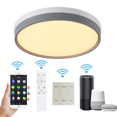 China 24W 48W Round Ceiling Outdoor Mounted Smart Home Lights Indoor LED Night Light Lamp Home Bedroom Lights for sale