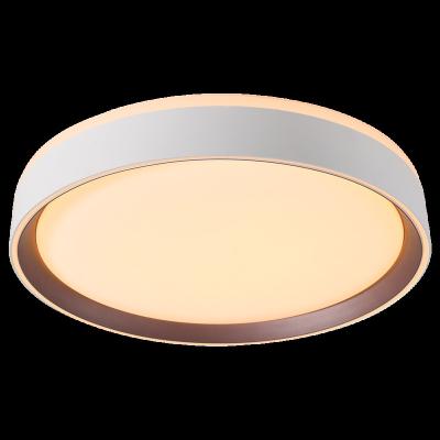 China Modern Smart LED Ceiling Lamp Tuya Trimless Led Moon Panel Light Adjustable Led Downlight Housing 36w Round Led Ceiling Lamp for sale