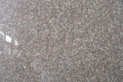 China G664 Bainbrook Brown granite countertops for kitchen , granite tile counters for sale