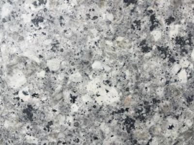 Chine Dessus d'île de cuisine de granit de Pearl White, partie supérieure du comptoir de cuisine de granit de Bullnose à vendre