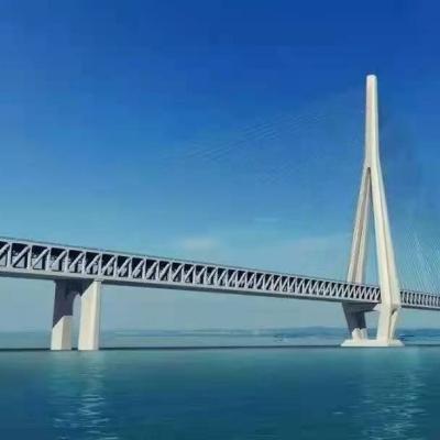 China Excellent Quality Steel Structure Bridge / Bridge Customized Prefab Compact Bailey Suspension Bridges for sale