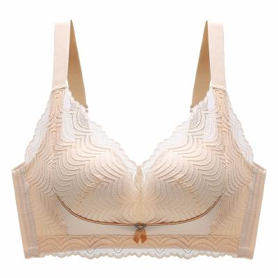 China High Quality Cheap Sexy Women's Breathable Bra Women's Comfort Lace Women's Lingerie Breathable Underwear for sale